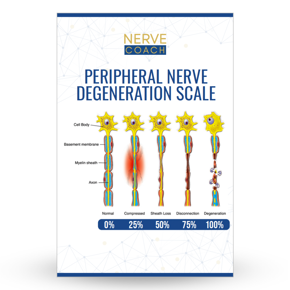 Peripheral Nerve Degeneration Scale